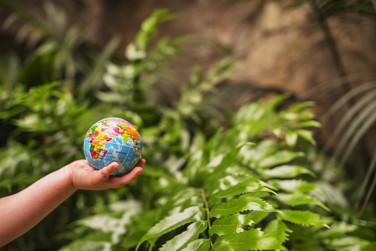 Salva el planeta con Educación Ambiental: ¿Estás listo para el cambio?